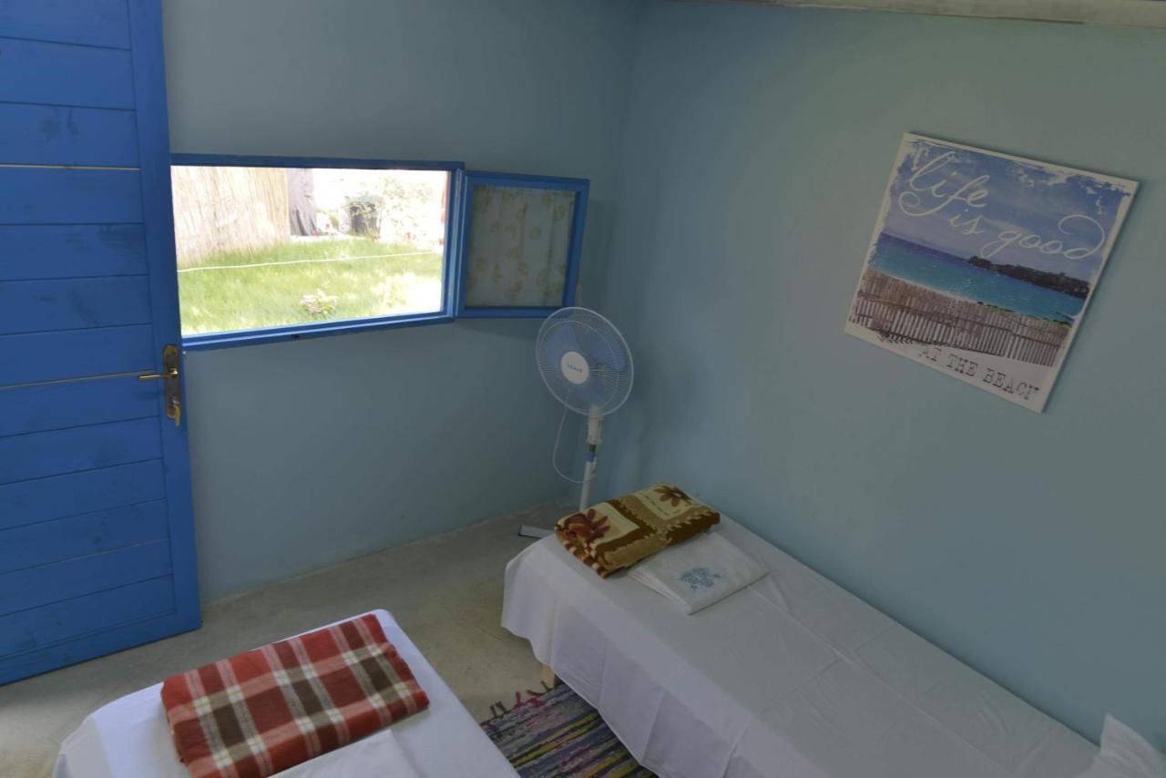 Glamping Rooms At The Sea Turtle Dhërmi 외부 사진